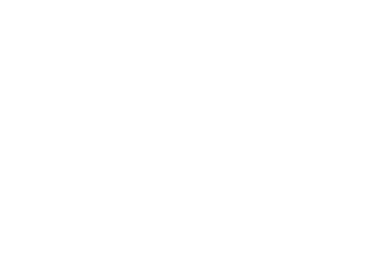 Logo Blanco Strike Four Asset Management